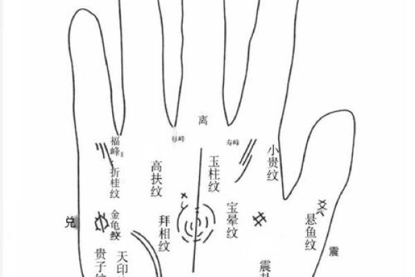 如何通过富贵线手相预测人生财运