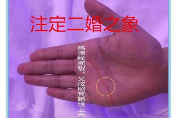 如何通过富贵线手相预测人生财运