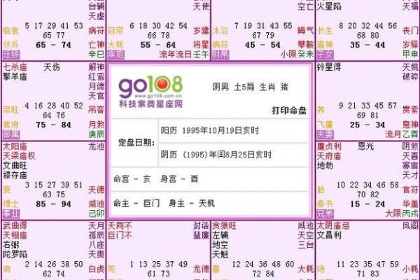 深入解析紫薇排盘格局及免费命运预测