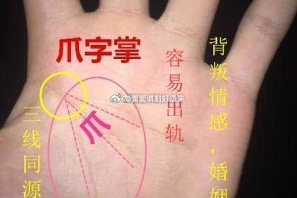 如何通过手相预测婚姻变化与离婚风险