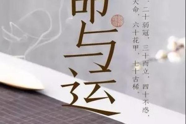 孔雀命的命运特征与个性分析