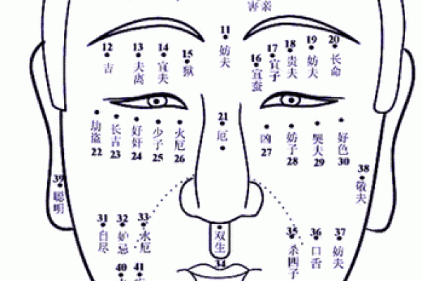 面相学解析：痣的位置与命运的深刻关系