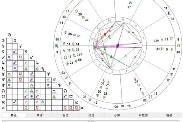 如何通过飞星盘排盘提升居家风水运势