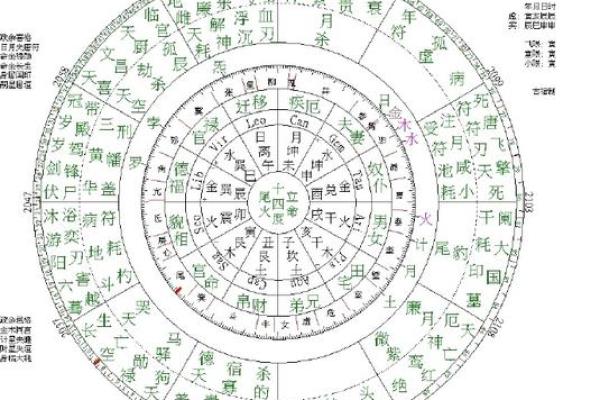 八字主星的意义与影响解析