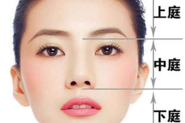 温柔面相背后的性格秘密与生活态度