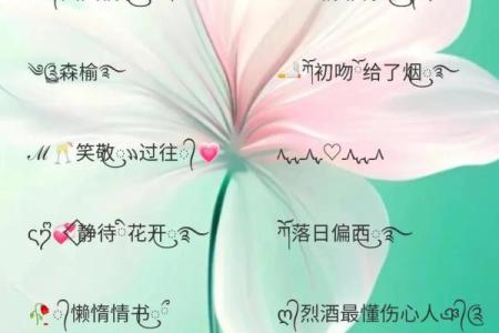 八字网名：让名字与命运同行
