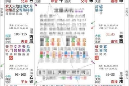 紫薇排盘分析：如何从命盘中解读你的理想配偶类型