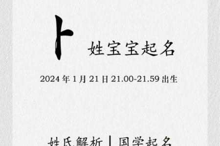 鸡年男宝宝起名宝典：姓申男孩名字精选与寓意解析