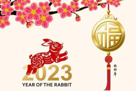 鸡年男孩起名：寓意与五行的完美结合
