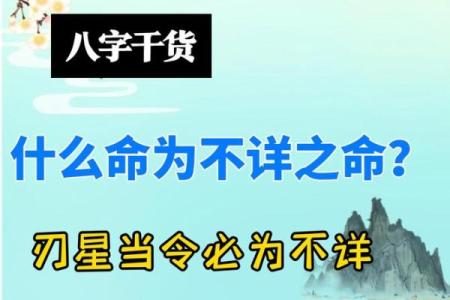 八字主星的意义与影响解析