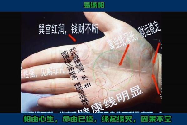 男人手相揭秘：不同掌纹对健康和感情的影响