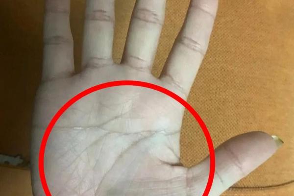 手相分析：同性恋者是否有与众不同的特点