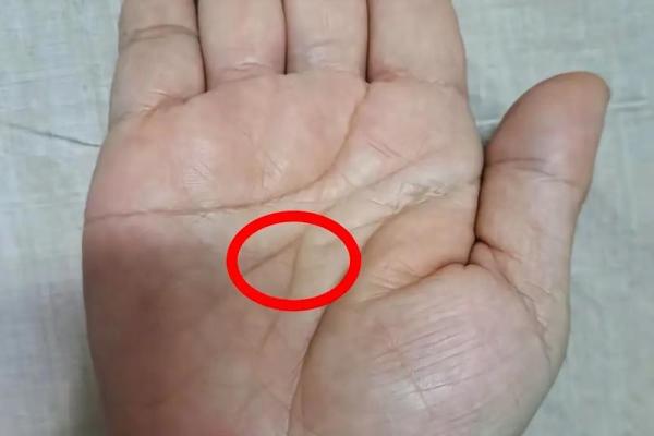 手相分析：同性恋者是否有与众不同的特点