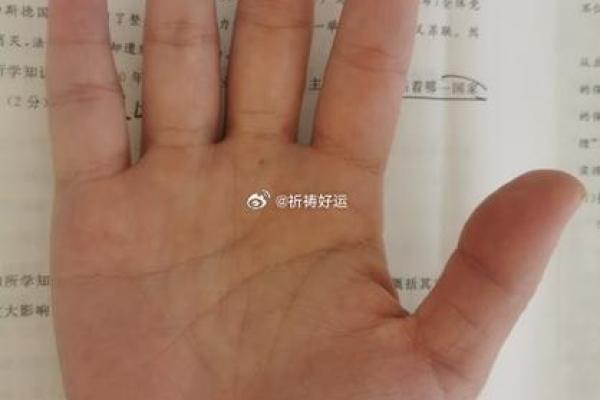 拍照手相算命：用手机镜头看见你的人生轨迹