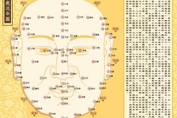 风水视频下载平台推荐及使用技巧