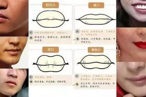 深度解析王虎应排盘在命运预测中的优势