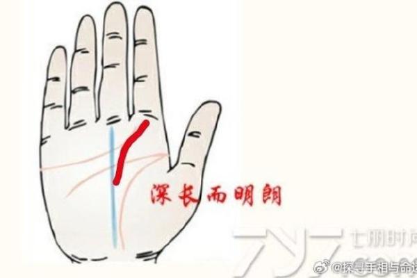全球手相学的异同与文化背景探索