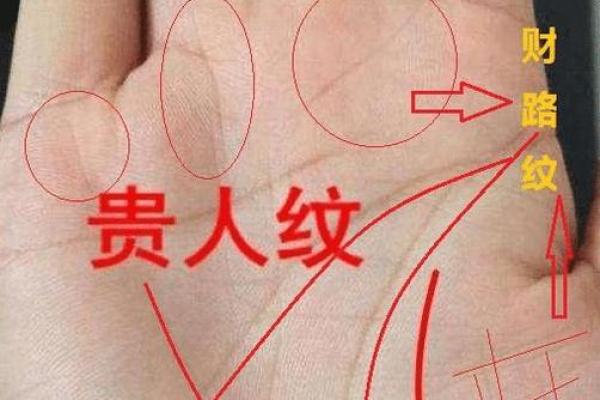 全球手相学的异同与文化背景探索