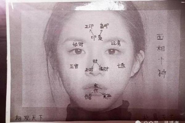 揭秘富贵面相的女人特征及其背后的命理学