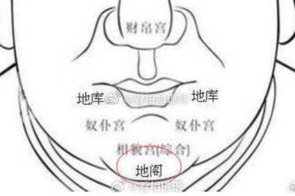 下巴翘面相揭示的性格与命运特征