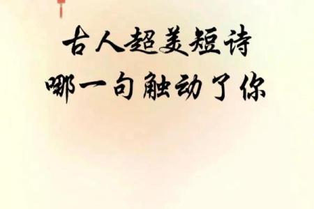 古诗意境启发的公司命名灵感解析