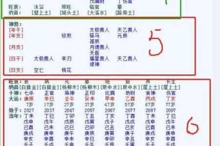 元亨利贞紫微斗数在线排盘解析与应用技巧