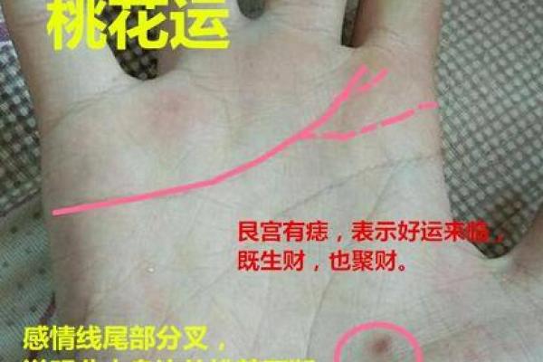 如何通过手相看出烂桃花运