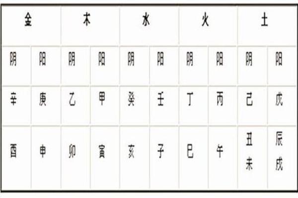数字与五行属性的深刻联系解析