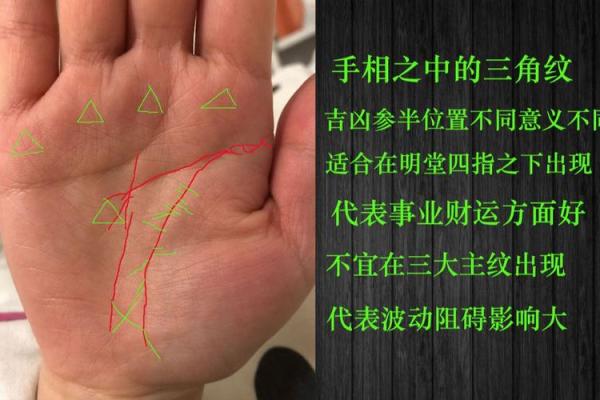 深入手相面相全书：了解命运轨迹与个性特征