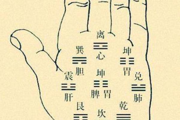 深入手相面相全书：了解命运轨迹与个性特征