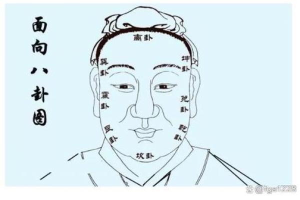 解析发财面相：如何通过面部特征判断财富运势