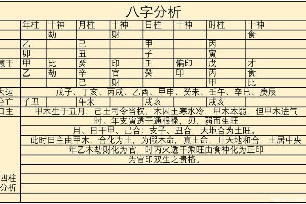 出生的人命运如何？一探命理与人生轨迹