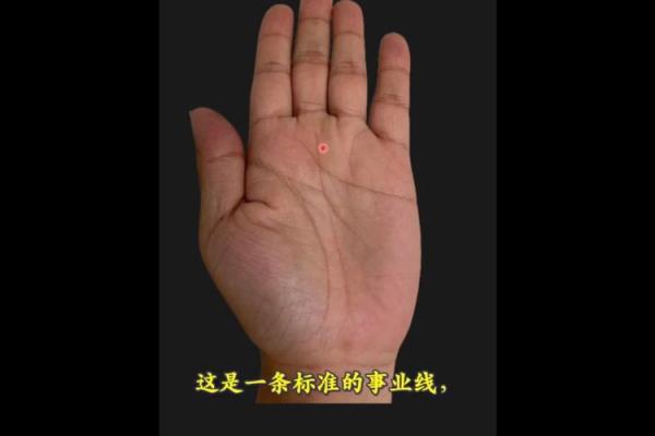 男人手相看事业运：掌握成功的关键线索