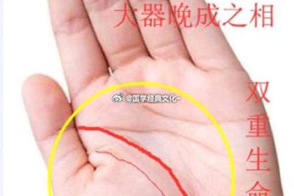 男人手相看事业运：掌握成功的关键线索