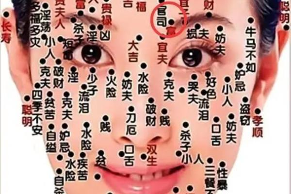 人面痣相与面相学：如何通过痣位推测未来