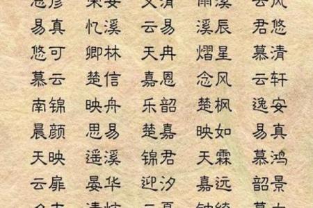 鸡年出生宝宝起名技巧及注意事项