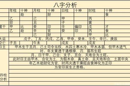 出生的人命运如何？一探命理与人生轨迹