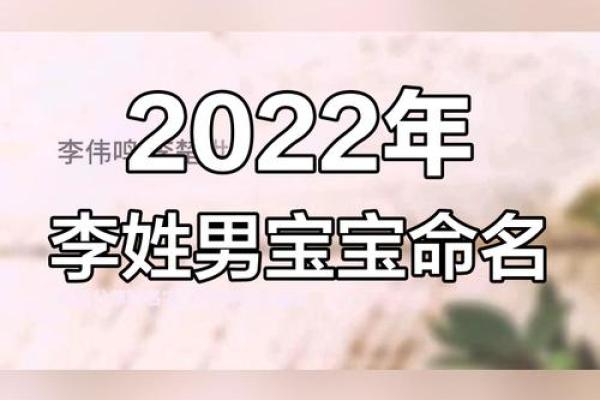 鸡年李姓男宝宝的最佳名字推荐