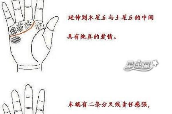 情欲线的意义与影响：如何从手相看待你的爱情运势