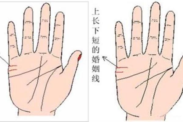 情欲线的意义与影响：如何从手相看待你的爱情运势