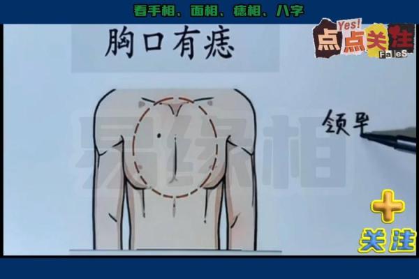 胸部痣相解析：从面相学角度看人生运势