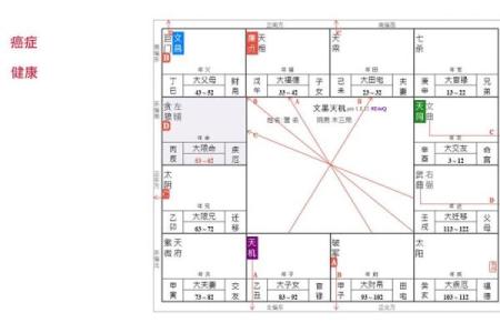 精准紫薇命盘免费在线排盘，探索命运奥秘