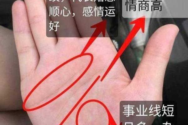 手相分析：掌纹如何预测你的命运轨迹