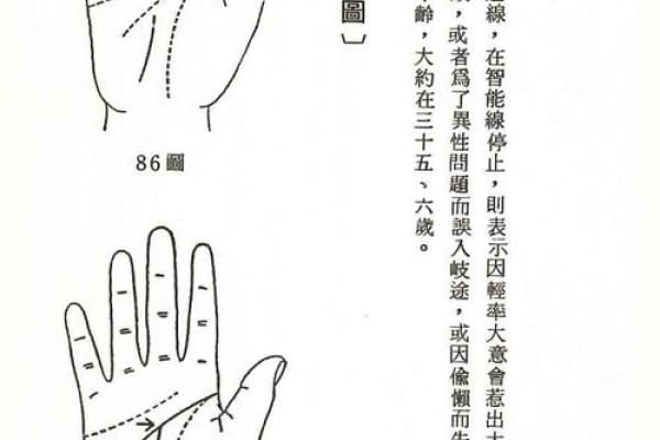 手相分析：掌纹如何预测你的命运轨迹