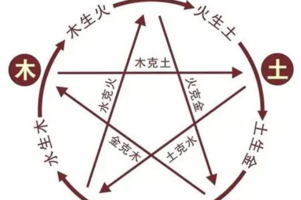 五行免费查询：探索命理与运势的奥秘