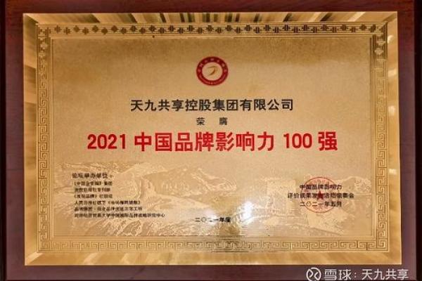适合城市服务公司的创新命名方案解析