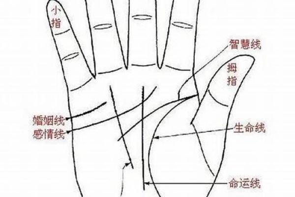 如何通过女生手相中的婚姻线预测婚姻状况