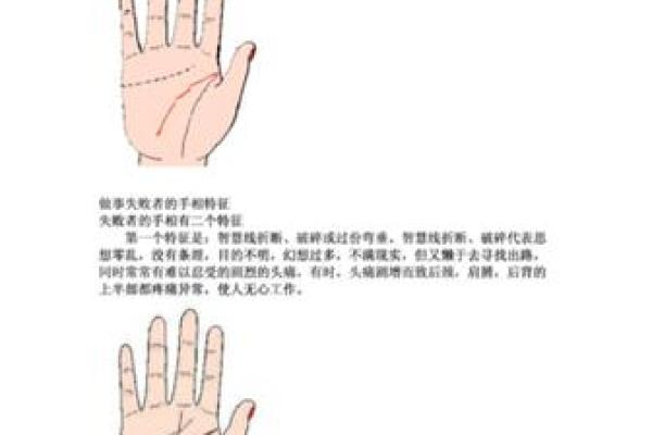女人左手手相解读与命运分析