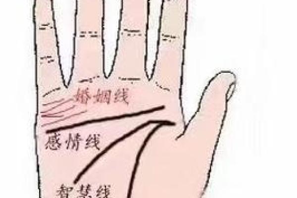 女人左手手相解读与命运分析
