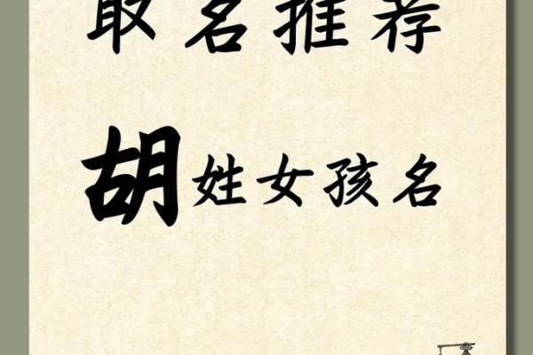 胡姓男宝宝名字大全及其深刻含义